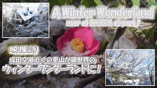 A winter wonderland near at NARITA airport in Japan 2019・02・02　成田空港近隣の冬のワンダーランド