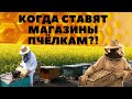 МАГАЗИНЫ ПЧЁЛАМ! КОГДА И КАК?!