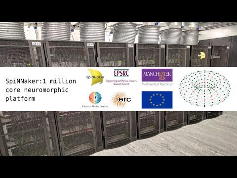 SpiNNaker: 1 million core neuromorphic platform