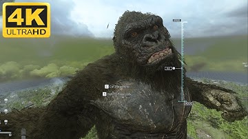 Warzone - Monarch - King Kong Showcase - New Plane Intro - PC [4K 60FPS]