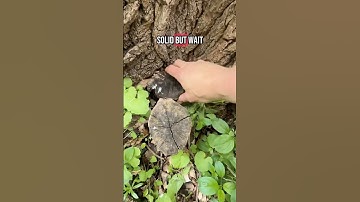 Challenging Geocache Hidden In Plain Sight! #geocaching #hiddeninplainsight