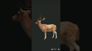 I just love seeing these new rare furs🔥. #greatonegrind #hunting #gaming #FallowDeer #cotw #RareFurs