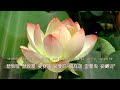 消災吉祥神咒 Maha Jvalosnisa Dharani 消災吉祥陀羅尼 36th 消災吉祥神咒 Maha Jvalosnisa Dharani 消災吉祥陀羅尼 36th