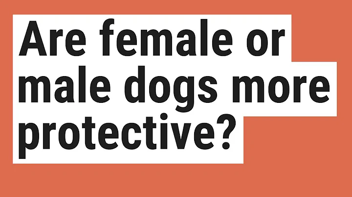 Are female dogs more protective? (2023)