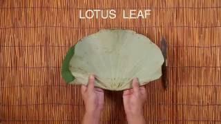 Sakul Intakul HOW-TO ep. 2 'LOTUS SQUARE' Modern Asian