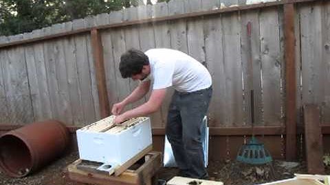 Package Bee Installation #2