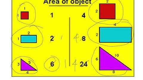 Bio102Lecture1AnimalFormandFunction 1