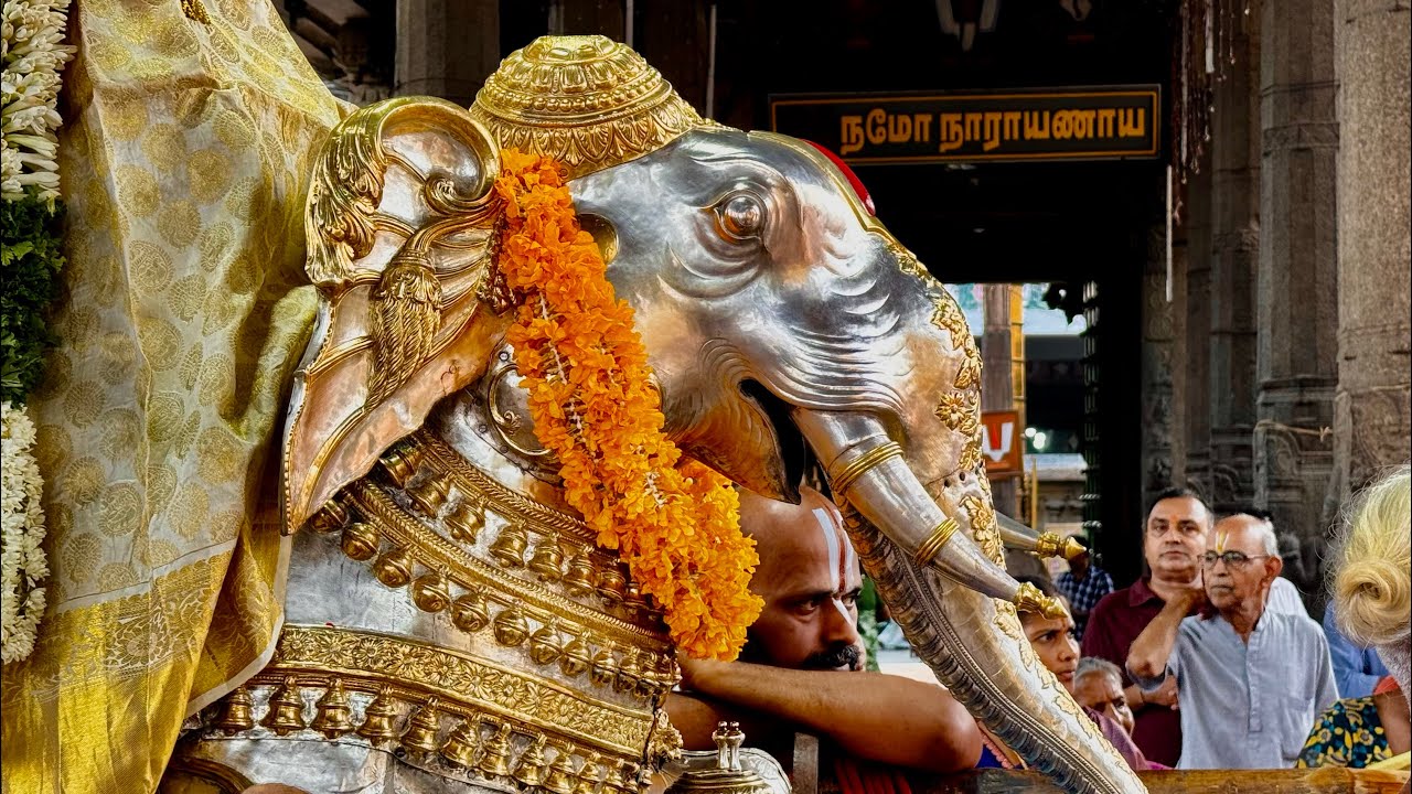 ஶ்ரீ வரதர் யானை வாகனம்