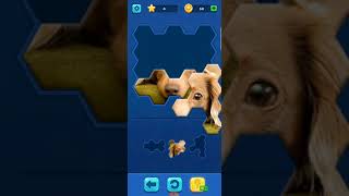 DOG HEXA JIGSAW PUZZLE GAME #1 screenshot 3