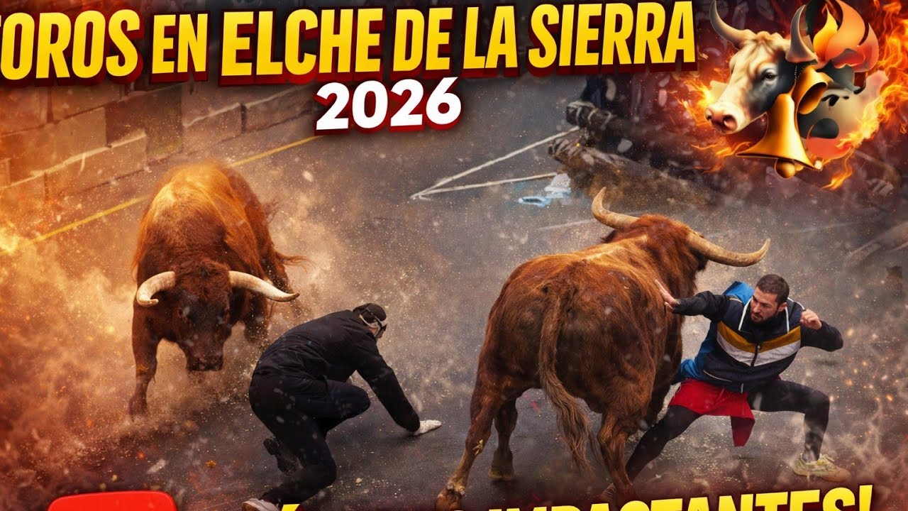 Merino Gil - Elche de la Sierra , Toros Bravos - Resumen Entrada al Pueblo y suelta en sus plazas