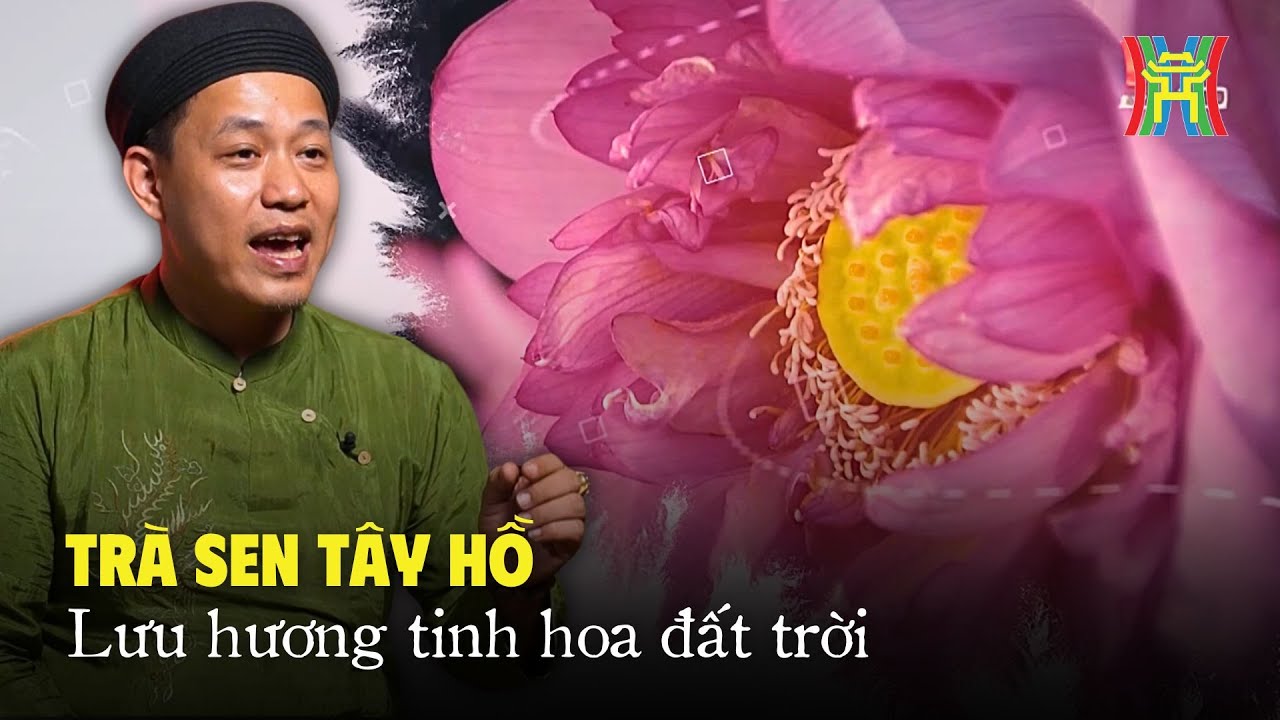 Nghệ thuật ướp trà sen Tây Hồ: Lưu hương tinh hoa đất trời | Di sản kể chuyện