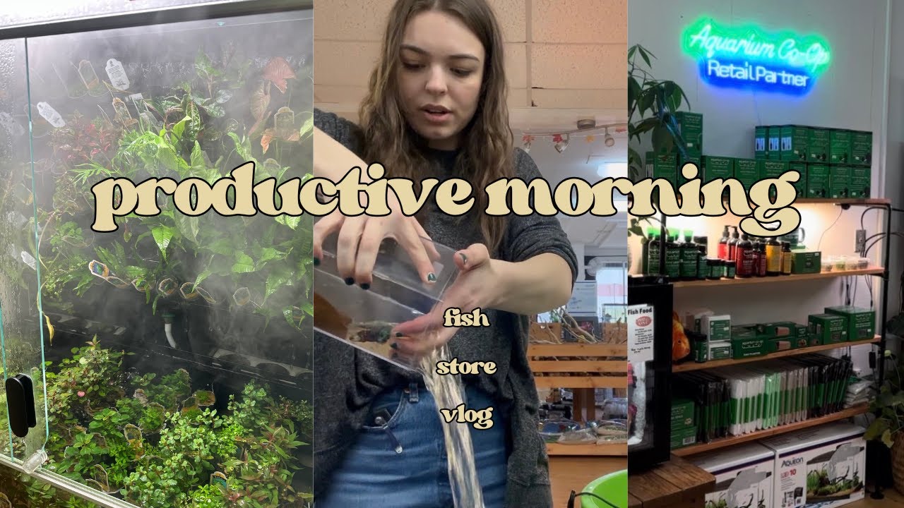 Утро в зоомагазине | Инвентаризация аквариумных рыбок, замена воды в аквариуме для петушков и соб...