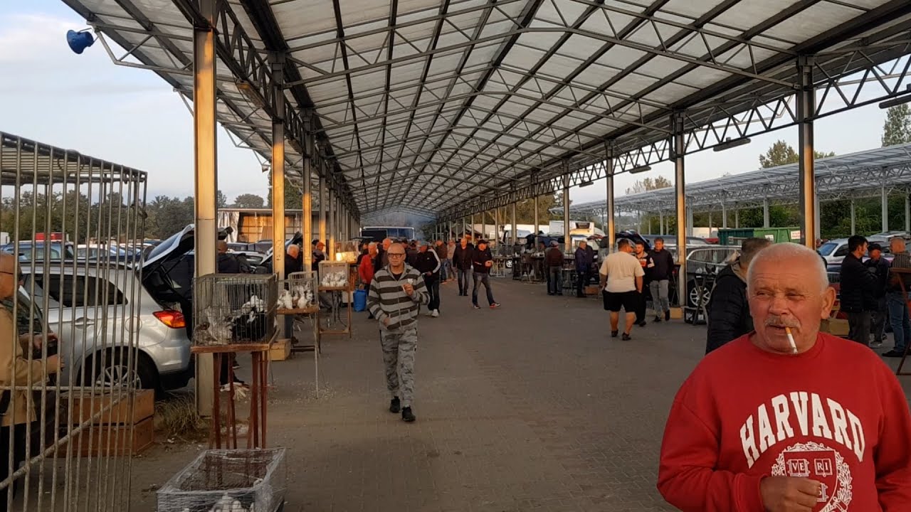 Rynek / Targ gołębi | Nowy Dwór Mazowiecki 13.09.2025