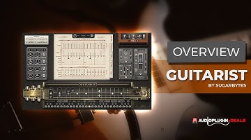 Checking Out Guitarist by Sugar Bytes