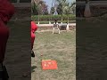 catching practice session 🏏💯 #cricket #fanforever #viral #cricketlover #ipl #cricketnews #psl8