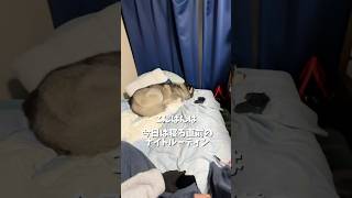 たまにどっか行ったりします🥲