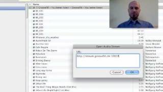 How to add a web radio stream to your iTunes library screenshot 4