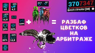 Секреты разбафа цветков на арбитраже в Warframe. [1/2] видео про Арбитраж.