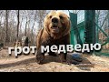 Ручной медведь Мансур / Mansur Russian Bear 🎥🔴