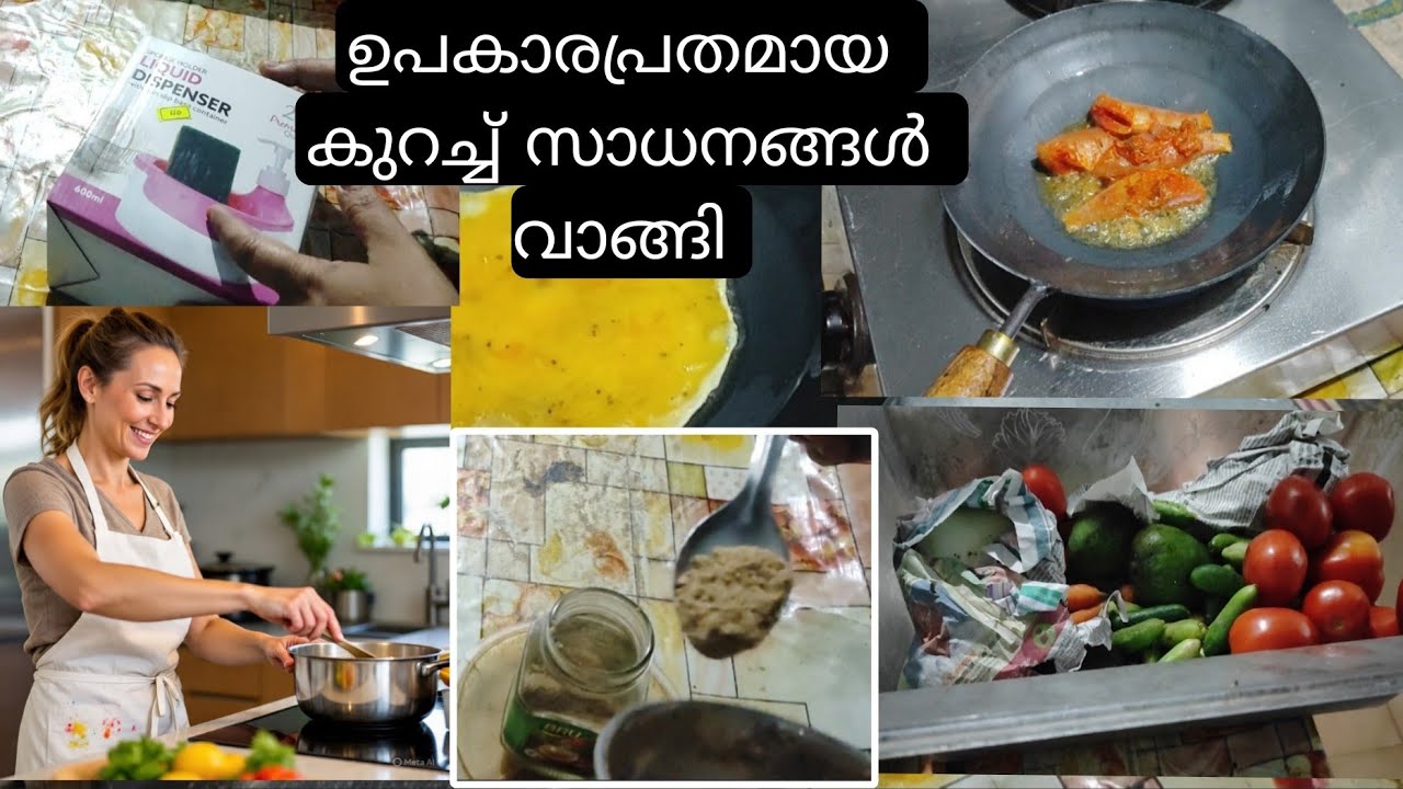 ഇതൊക്കെയുണ്ടേൽ പിന്നെ ജോലി ഈസിയായി |Daily Vlog