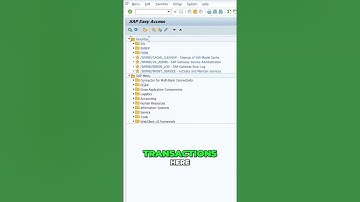 Master Your SAP Favorites Menu  Easy Management Tips