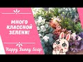 🌿Много классной зелени!🌿