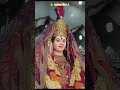 Chal Dhani Arti Utare Navratri Special Status Shortvideo Maadurga Maa Durga Bhjan Viralvideo