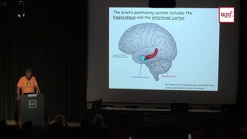Edvard Moser BCBT 2017 Lecture
