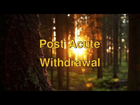 Post Acute Withdrawal Part 2 - Anhedonia