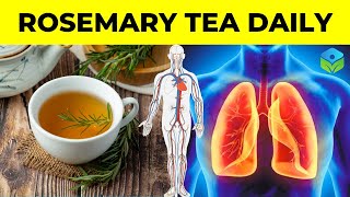 10 Reasons to Drink Rosemary Tea Daily An Impressive Healing Remedy