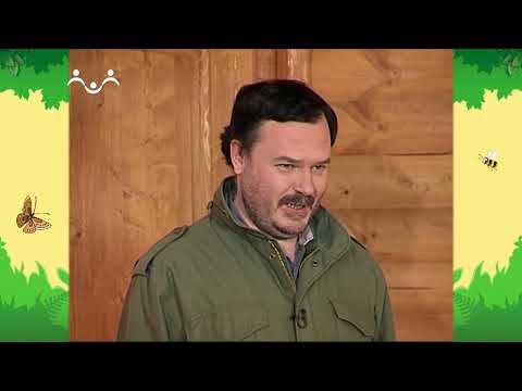 День в Шишкином Лесу. Зоология. Кто в домике живет