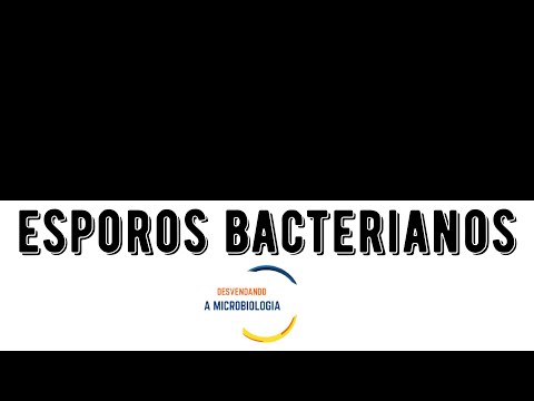 Vídeo: Como os esporos de plantas e esporos bacterianos diferem?