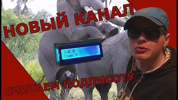 Счетчик подписчиков на канал DIY VSRT