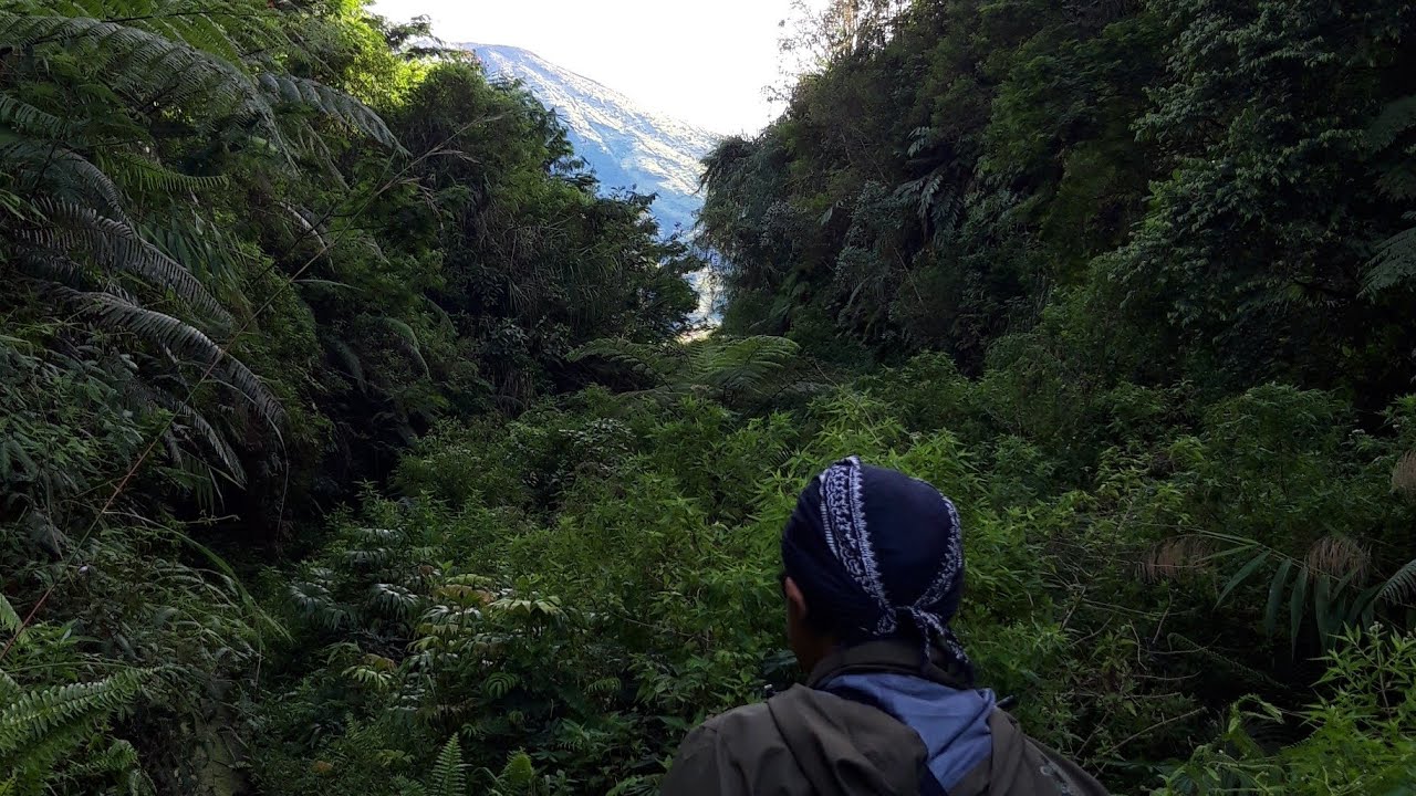 Menuju Mata Air Surodilogo, Pemandian Sakral Para Prajurit Diponegoro di Wonosobo