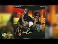 Ntwana R And PRVIS3 Njalo Official Audio Ntwana R And PRVIS3 Njalo Official Audio