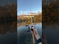 #funny #audio #fishing #bassfishing #trending #Fish. #Shorts#memes