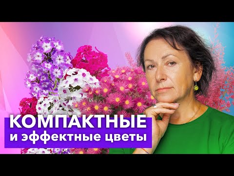 ШИКАРНЫЕ НИЗКОРОСЛЫЕ МНОГОЛЕТНИЕ ЦВЕТЫ, которые стоит посадить в 2024 году!