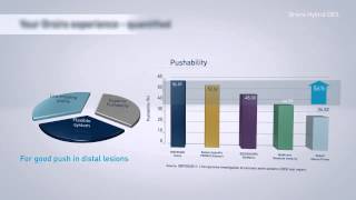 Birtronik Orsiro Hybrid Drug Eluting Stent