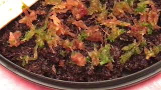 How To Revive Dried Sphagnum Moss