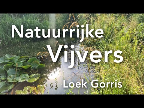 Natuurrijke Vijvers