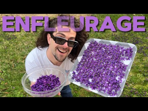How to extract the true scent of flowers!