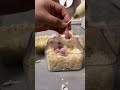 🐣 How to Feed a Baby Bird
