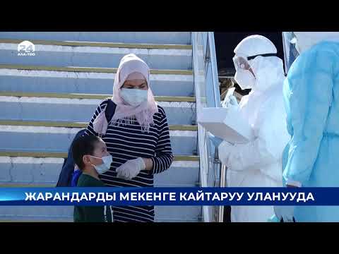 Video: Жигиттин сүйүүсүн кайтаруу: кандайча мыкты иш алып баруу керек