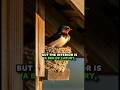 Barn Swallow shorts #barnswallow #birds #naturelovers