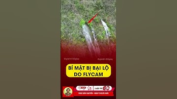 Bí mật bị bại lộ do chiếc fly cam #tintuc #giaitri #shorts