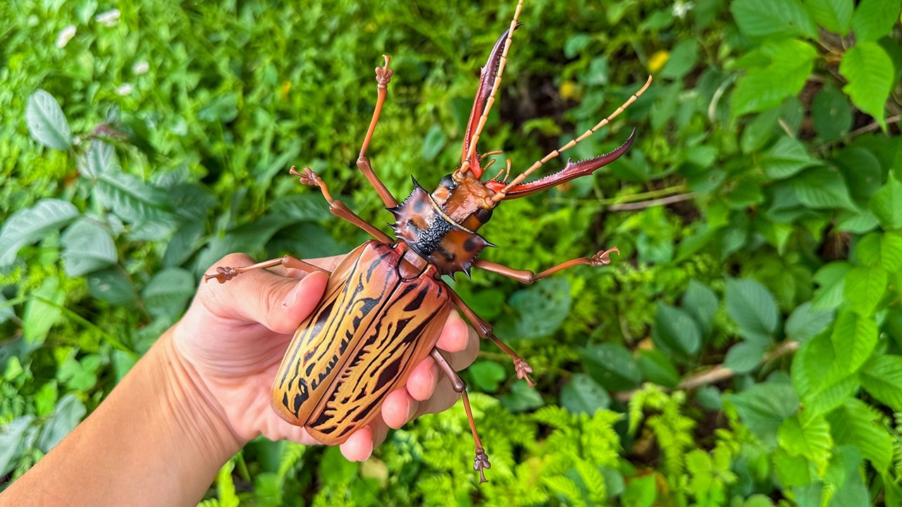 1回¥1,500のガチャ回したらとんでもないの出たwww