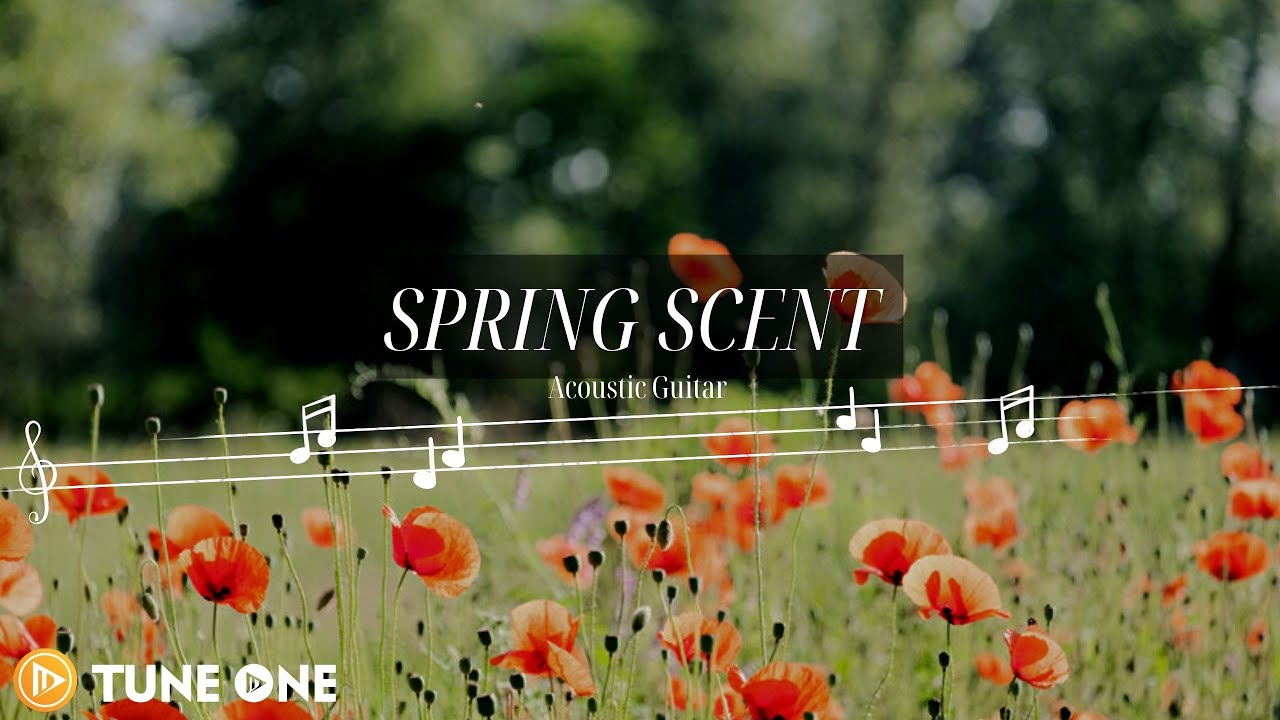 Spring Study Music Spring Scent | Guitar Relaxing Music - Music for Studying and Sleeping ...