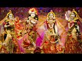 হরি হরায়ে নমঃ কৃষ্ণ যাদবায়ে নমো।। কৃষ্ণ ভজন।। Hari Haraye Namo Krishna Jadovay Namo || Mp3 Song