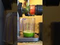 It takes minutes to get fresh juice, there’s no excuse #juicer #coldpressjuicer #ninjakitchen