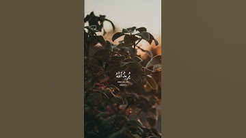 الشيخ ياسر الدوسري سورة النساء ( والله يريد أن يتوب عليكم)#الدوسري #القرآن_الكريم #ياسر_الدوسري